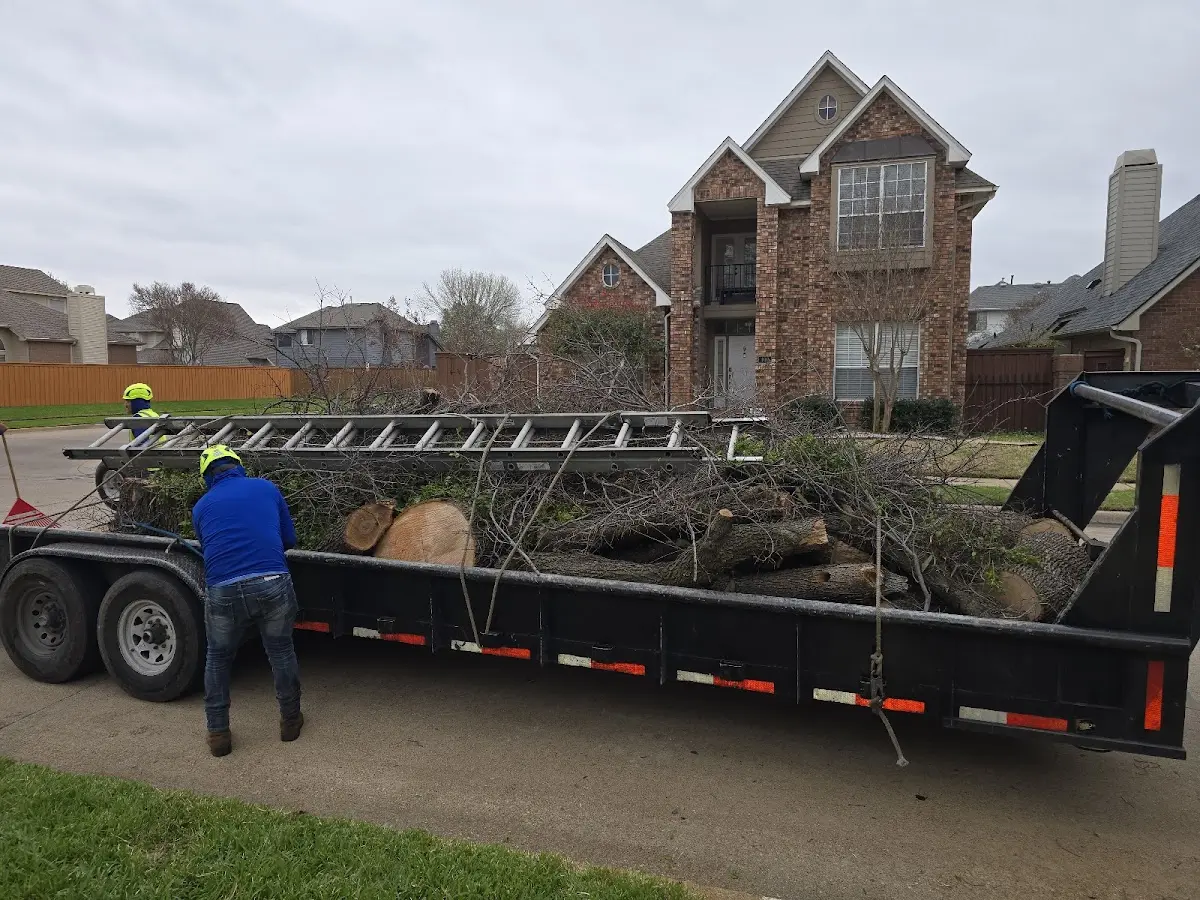Expert Lot Clearing with proper safety equipment in Avinger